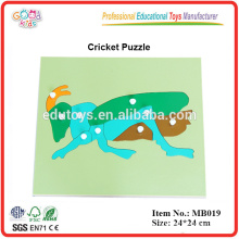 Montessori Biología Jardín de infancia Juguetes de madera Rompecabezas Juego educativo Cricket Puzzle